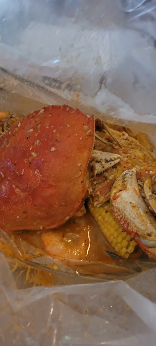 Theboil Jersey City-5